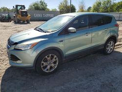 Salvage cars for sale from Copart Midway, FL: 2013 Ford Escape SEL