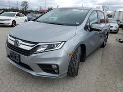 Honda Odyssey exl salvage cars for sale: 2019 Honda Odyssey EXL