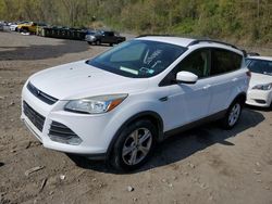 Ford Escape se Vehiculos salvage en venta: 2013 Ford Escape SE