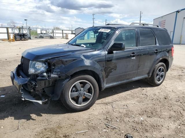 2012 Ford Escape XLT