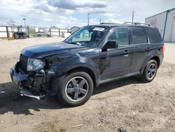 Salvage cars for sale at Nampa, ID auction: 2012 Ford Escape XLT