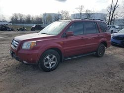 Honda salvage cars for sale: 2006 Honda Pilot EX