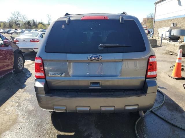 2010 Ford Escape XLT