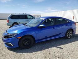 Salvage cars for sale from Copart Adelanto, CA: 2020 Honda Civic LX