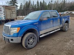 Ford salvage cars for sale: 2010 Ford F150 Supercrew