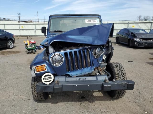 2002 Jeep Wrangler / TJ X