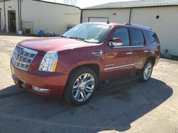 Salvage cars for sale from Copart Ham Lake, MN: 2010 Cadillac Escalade Platinum