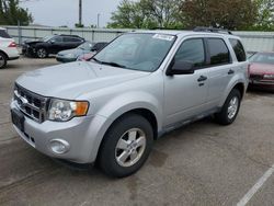 Salvage cars for sale at Moraine, OH auction: 2010 Ford Escape XLT
