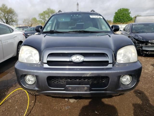 2005 Hyundai Santa FE GLS