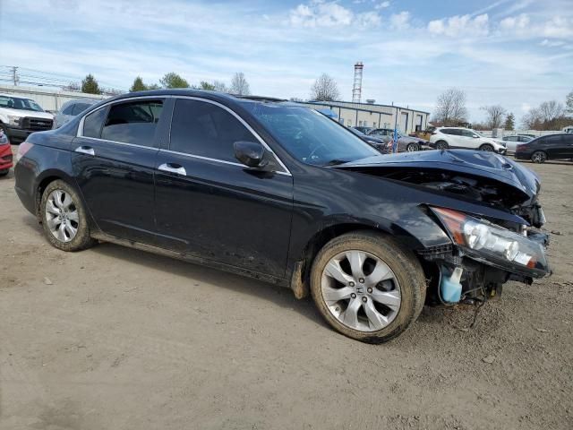 2010 Honda Accord EXL