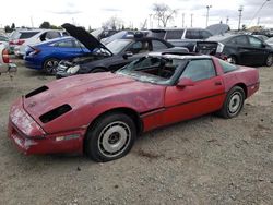 Salvage cars for sale at Los Angeles, CA auction: 1984 Chevrolet Corvette