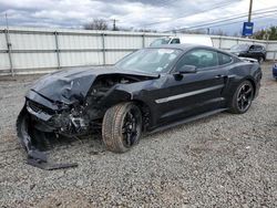 Salvage cars for sale from Copart Hillsborough, NJ: 2019 Ford Mustang GT