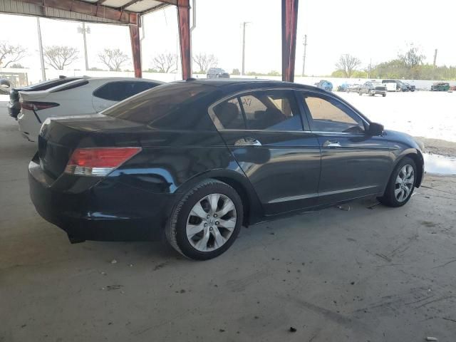 2010 Honda Accord EXL