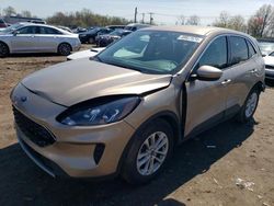 Salvage cars for sale at Hillsborough, NJ auction: 2020 Ford Escape SE