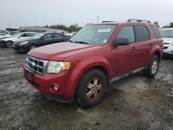 Salvage cars for sale from Copart Sacramento, CA: 2010 Ford Escape XLT