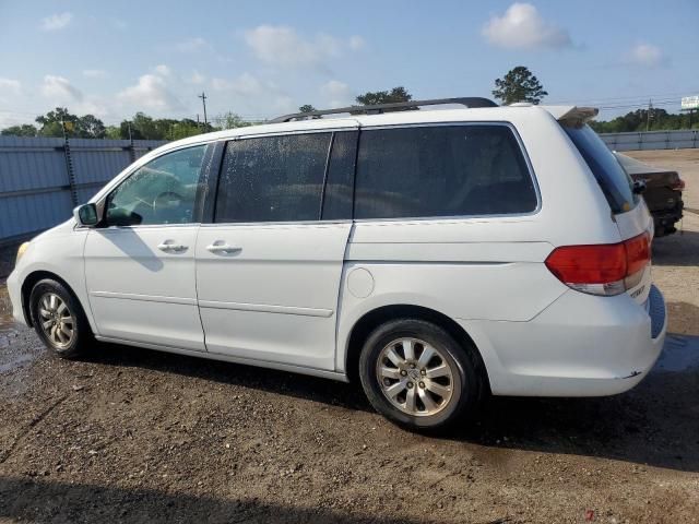 2009 Honda Odyssey EXL