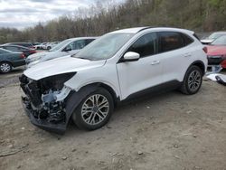 Salvage cars for sale at Marlboro, NY auction: 2020 Ford Escape SEL