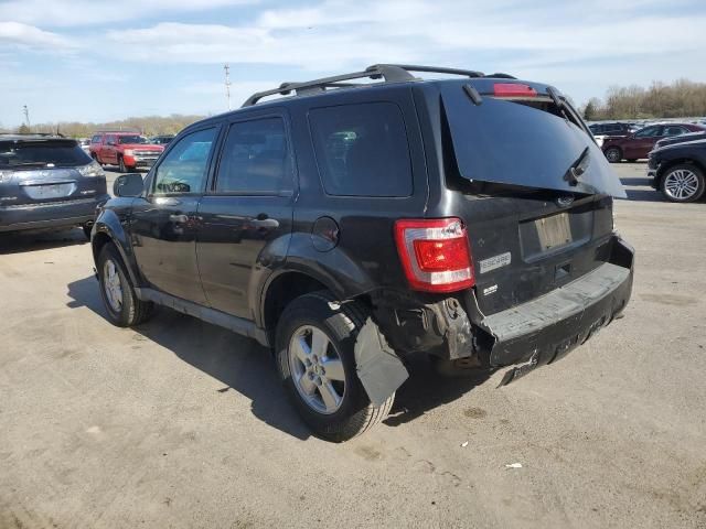 2010 Ford Escape XLT