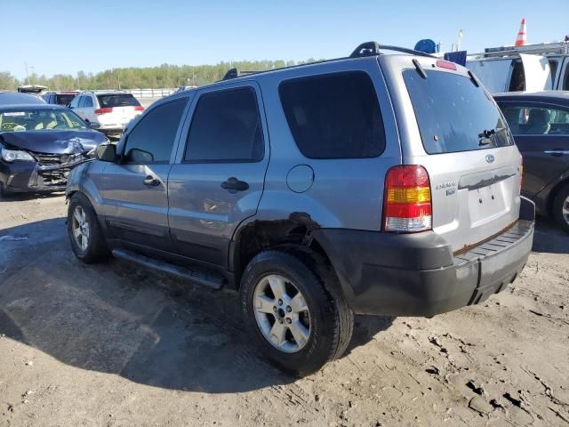 2007 Ford Escape XLT