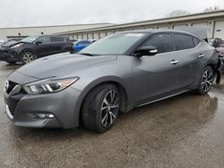 Salvage cars for sale from Copart Louisville, KY: 2018 Nissan Maxima 3.5S