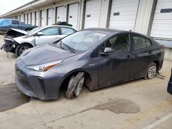Salvage cars for sale at Louisville, KY auction: 2021 Toyota Prius Special Edition