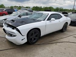 Salvage cars for sale from Copart Louisville, KY: 2013 Dodge Challenger SXT