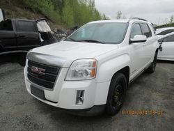 Salvage cars for sale from Copart Rocky View County, AB: 2013 GMC Terrain SLE