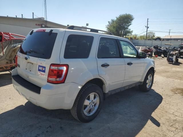 2012 Ford Escape XLT