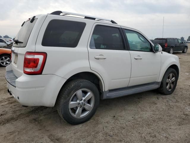 2009 Ford Escape Limited