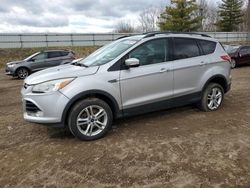 Ford Escape SEL salvage cars for sale: 2013 Ford Escape SEL