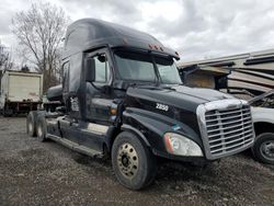 Salvage trucks for sale at Central Square, NY auction: 2015 Freightliner Cascadia 125