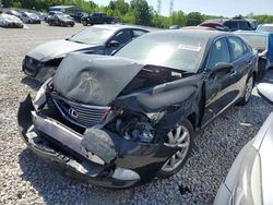 Lexus LS460 salvage cars for sale: 2009 Lexus LS 460