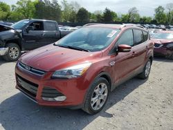Salvage cars for sale at Madisonville, TN auction: 2014 Ford Escape Titanium