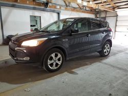 Salvage cars for sale at Lexington, KY auction: 2014 Ford Escape SE