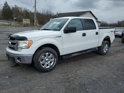 Vehiculos salvage en venta de Copart York Haven, PA: 2013 Ford F150 Supercrew