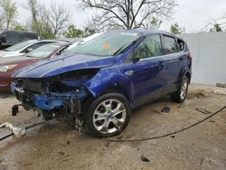 Salvage cars for sale at Bridgeton, MO auction: 2013 Ford Escape SEL