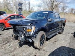 Salvage cars for sale at Marlboro, NY auction: 2023 Ford F150 Supercrew