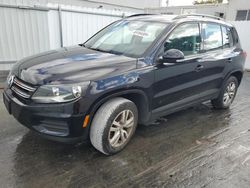 Salvage cars for sale from Copart Opa Locka, FL: 2017 Volkswagen Tiguan S