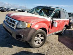 Salvage cars for sale at auction: 2010 Ford Escape Hybrid