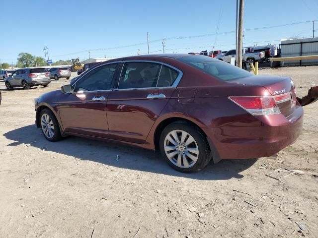 2011 Honda Accord EXL