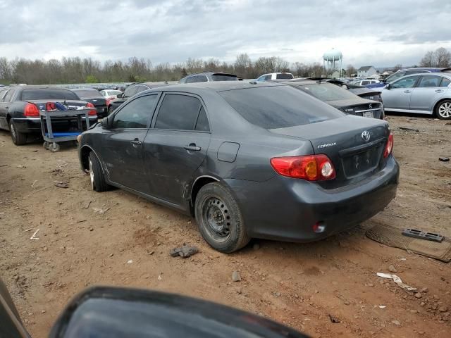 2010 Toyota Corolla Base