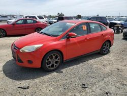 Ford Focus salvage cars for sale: 2014 Ford Focus SE