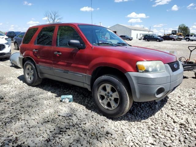 2005 Ford Escape XLT