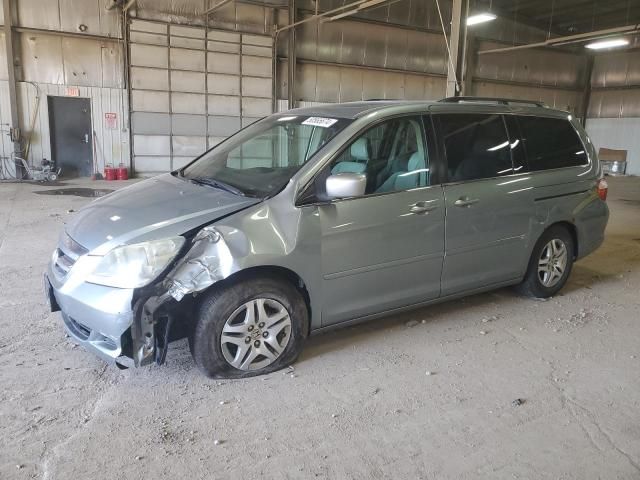 2005 Honda Odyssey EXL