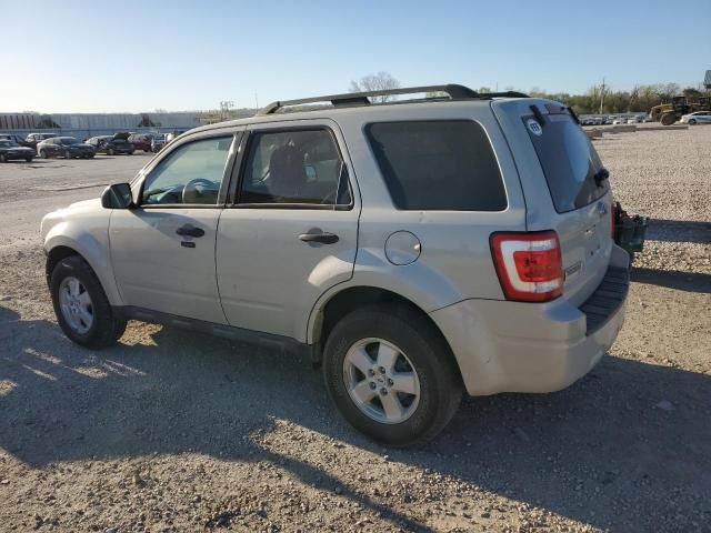 2009 Ford Escape XLT