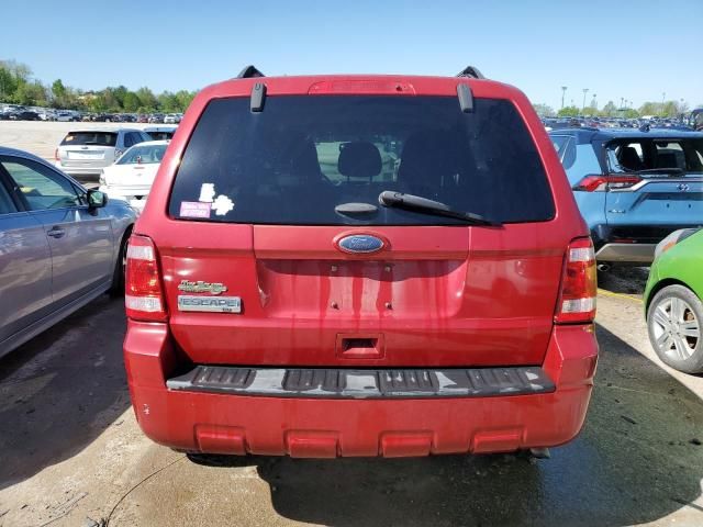 2011 Ford Escape XLT