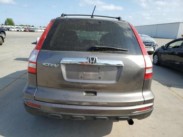 2010 Honda CR-V EX