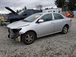 Salvage cars for sale at Graham, WA auction: 2009 Toyota Corolla Base