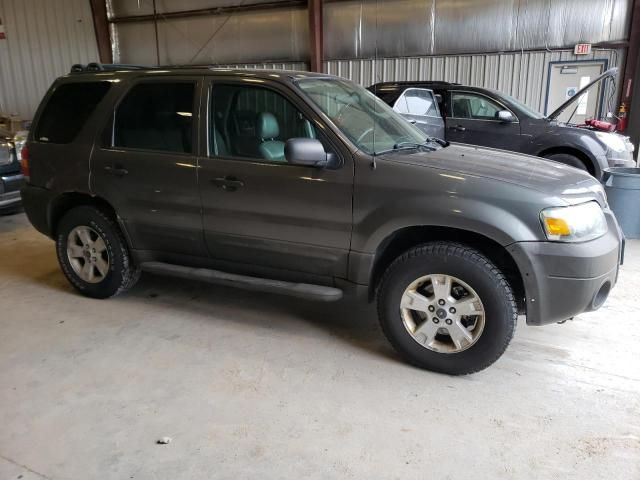 2006 Ford Escape XLT