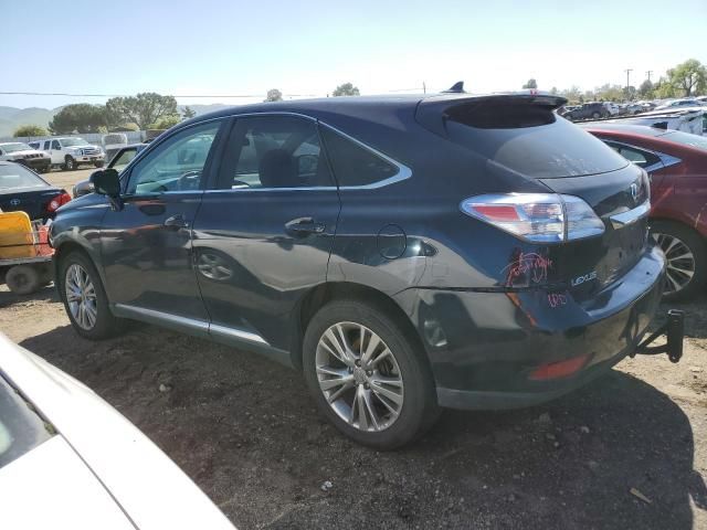 2010 Lexus RX 450